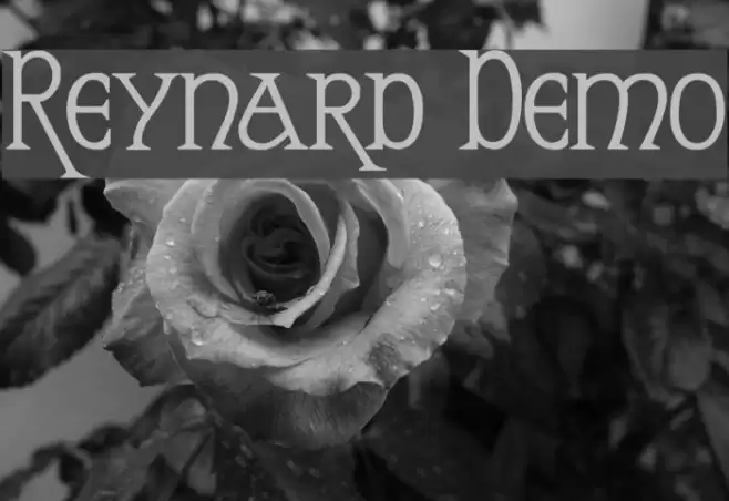 Reynard Demo Fonte examples