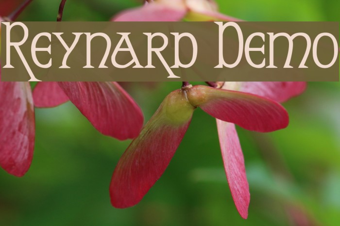 Reynard Demo Fonte examples