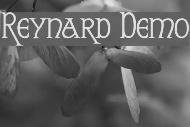 Reynard Demo Fonte examples