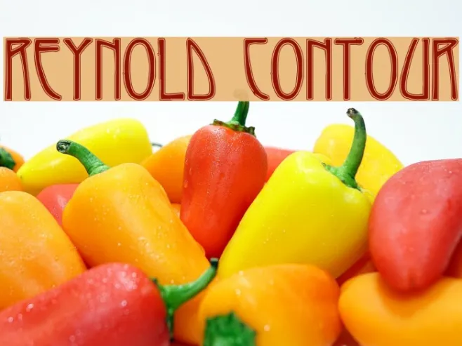 Reynold Contour Example 1