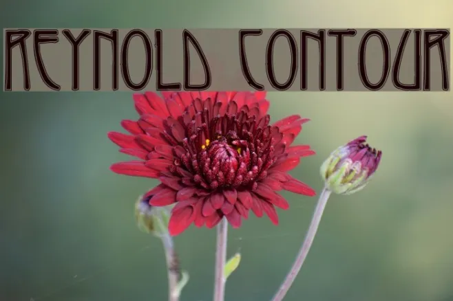 Reynold Contour Example 3