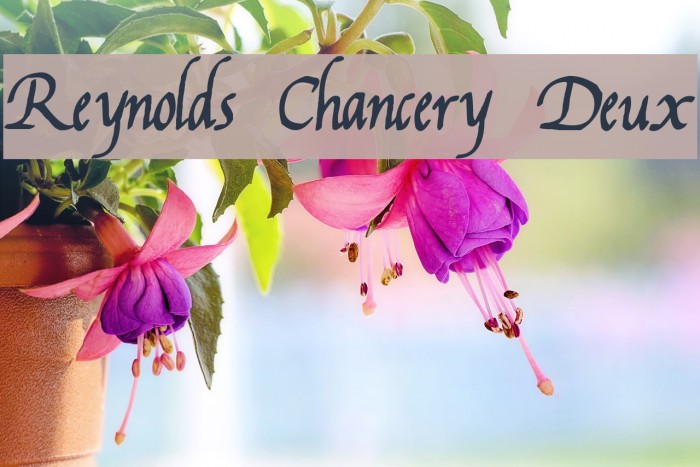 Reynolds Chancery Deux Font examples