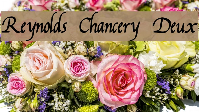 Reynolds Chancery Deux Font examples