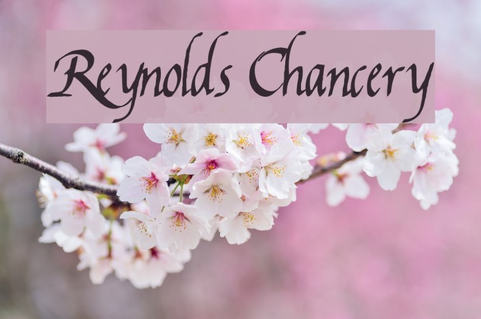 Reynolds Chancery Font examples