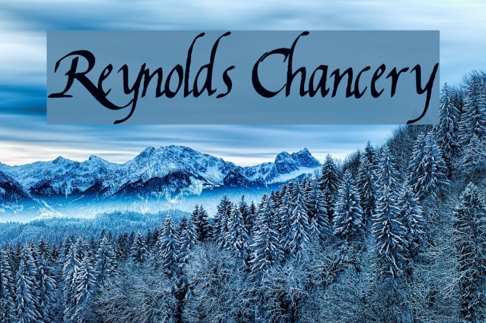 Reynolds Chancery Font examples