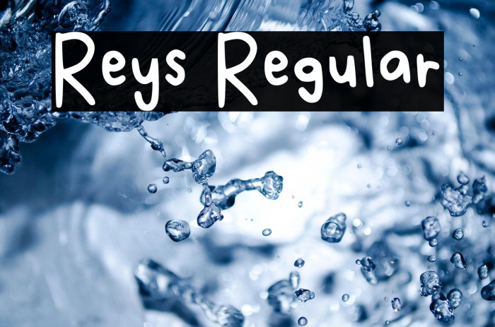 Reys Regular Example 1