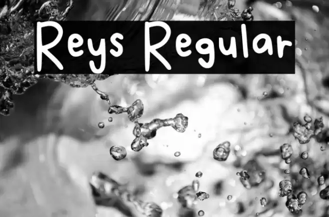 Reys Regular Font examples