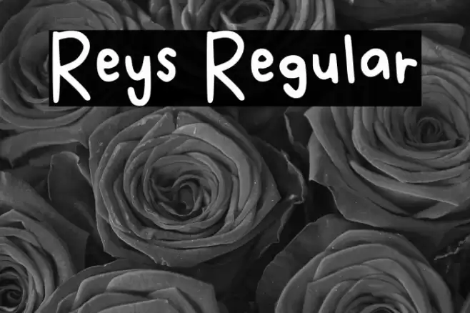 Reys Regular Font examples