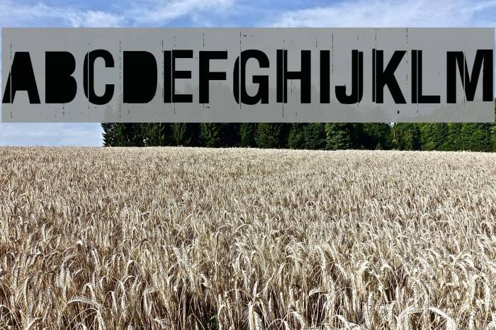 Rez Font examples