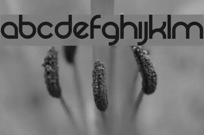 Rezland Logotype Font خط examples