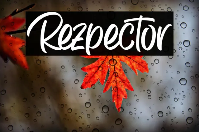 Rezpector Example 2