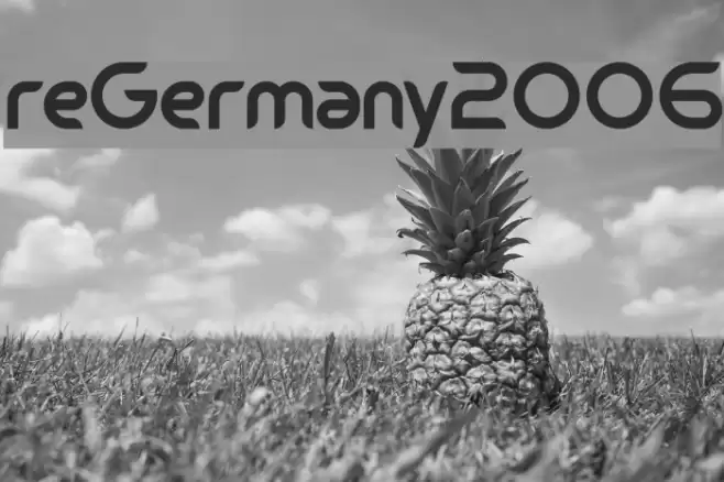 reGermany2006 Caratteri examples