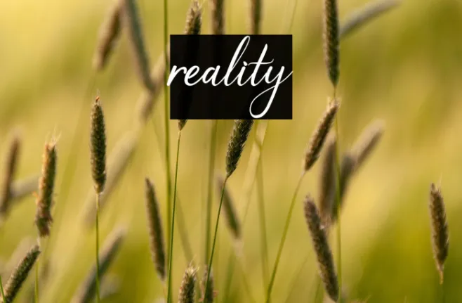 reality Example 1