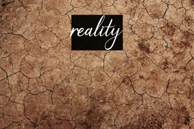reality Example 2