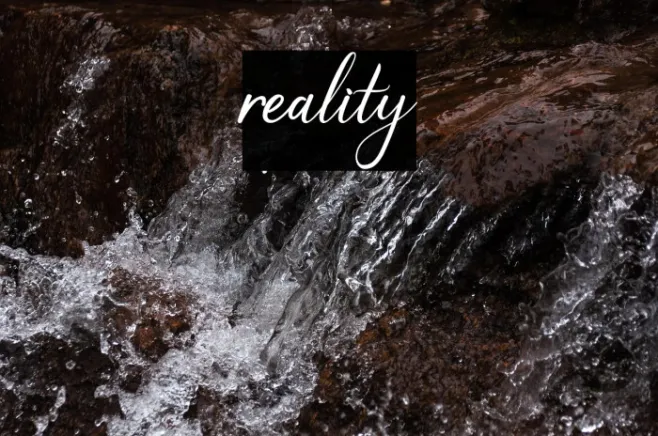reality Example 3