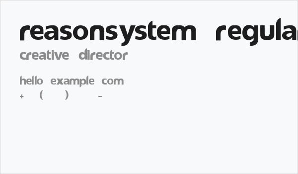 reasonSystem Regular Business Card