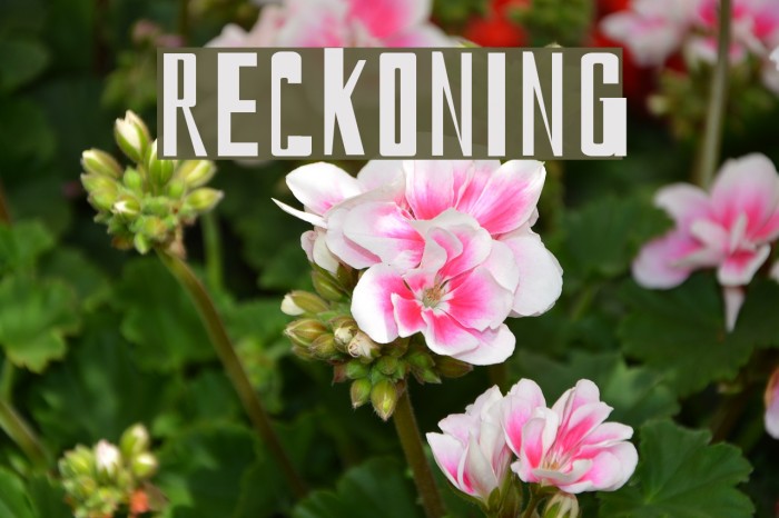 reckoning Font examples