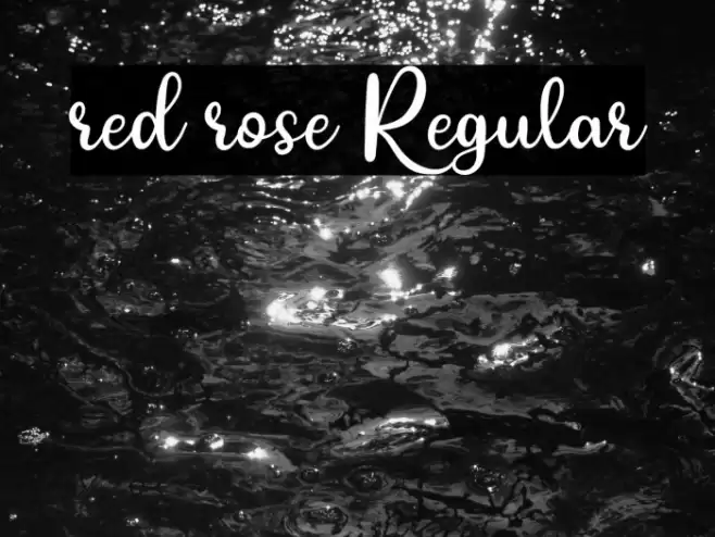 red rose Regular Font examples