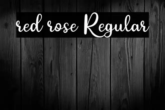 red rose Regular Font examples