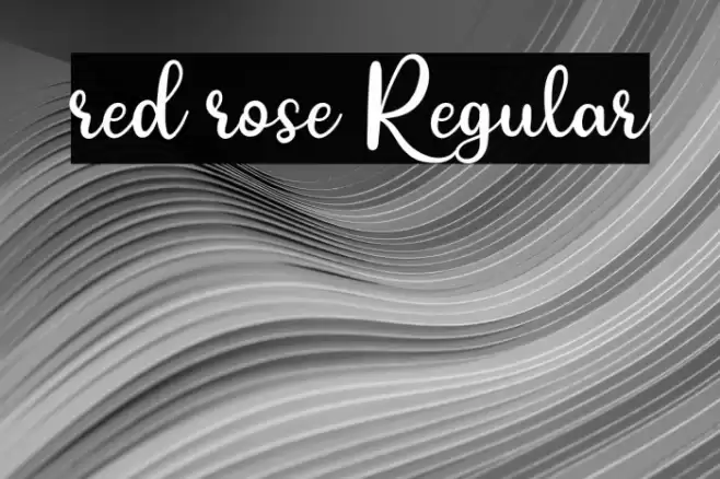 red rose Regular Font examples