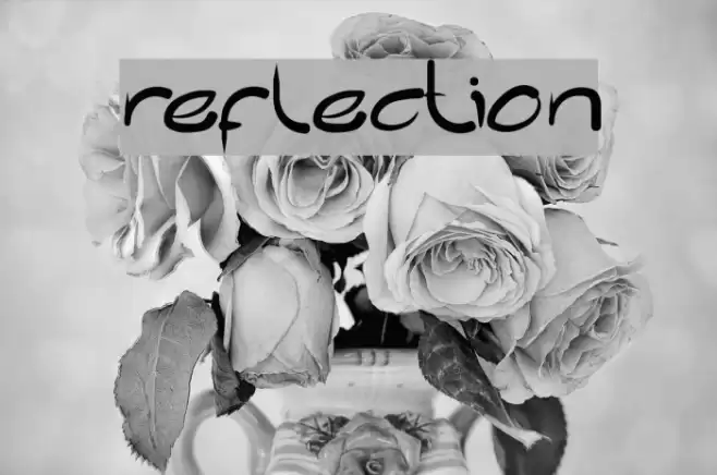 reflection Font examples