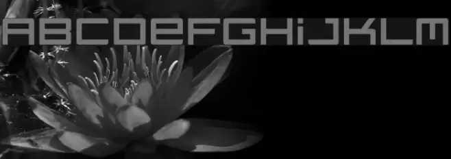 regata Font examples