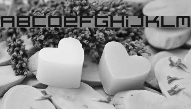 regata Font examples