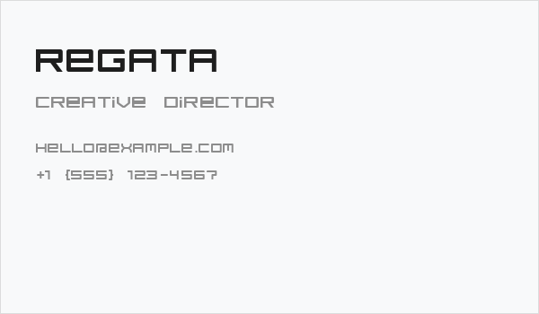 regata Business Card