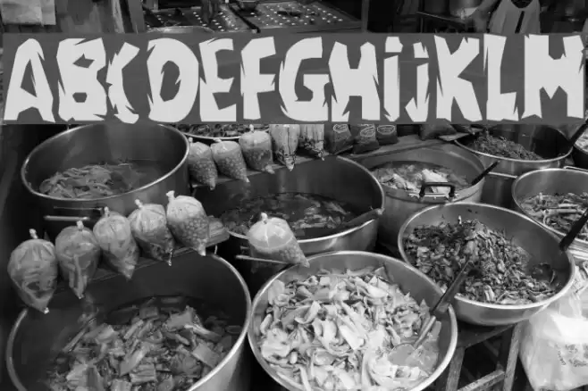 regime Font examples