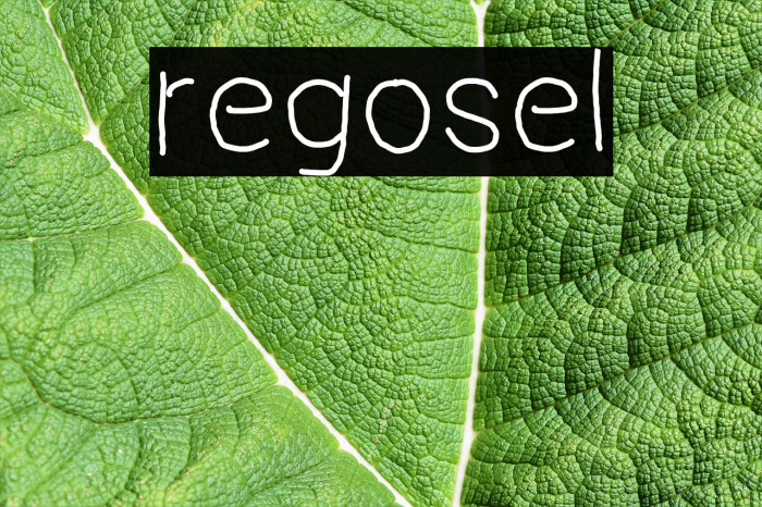 regosel Font examples