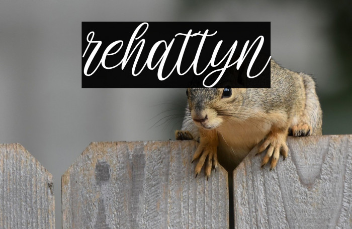 rehattyn Example 3