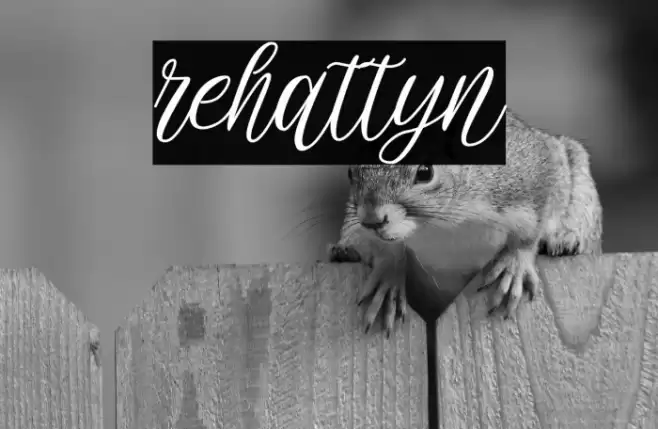 rehattyn Font examples