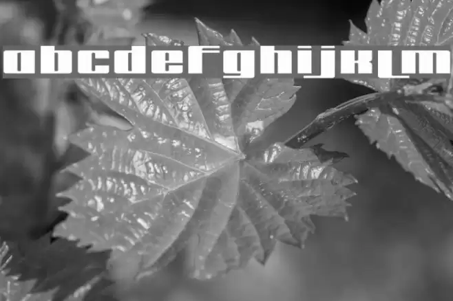 remakeoffabulous3 Bold Font examples