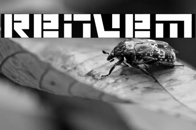 renvem फ़ॉन्ट examples