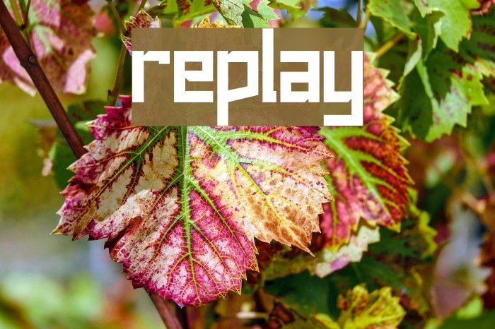 replay Font examples