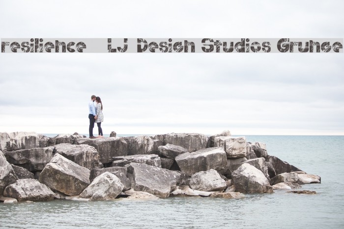 resilience - LJ-Design Studios Grunge Example 2
