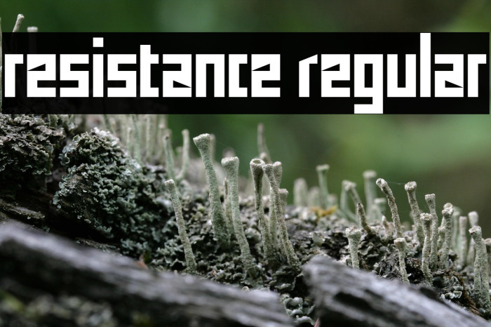 resistance Regular Example 1