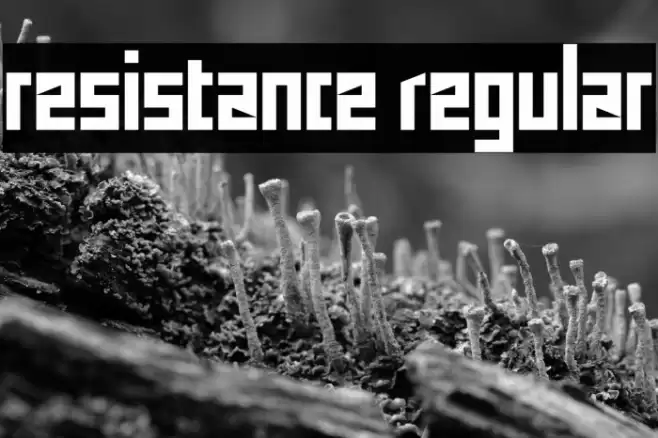 resistance Regular Font examples