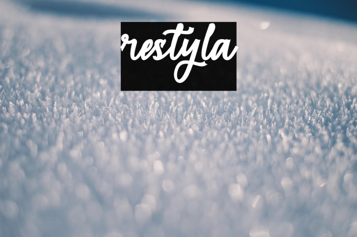 restyla Example 2