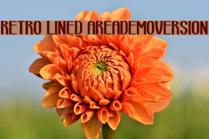 retro lined area_demo-version Example 2