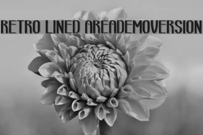 retro lined area_demo-version Font examples