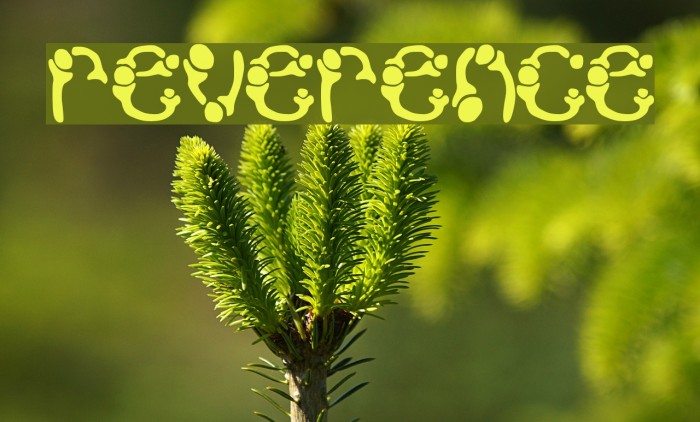 reverence Font examples