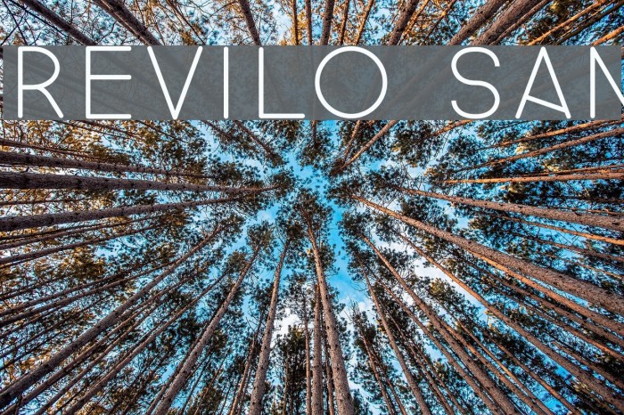 revilo san Font examples