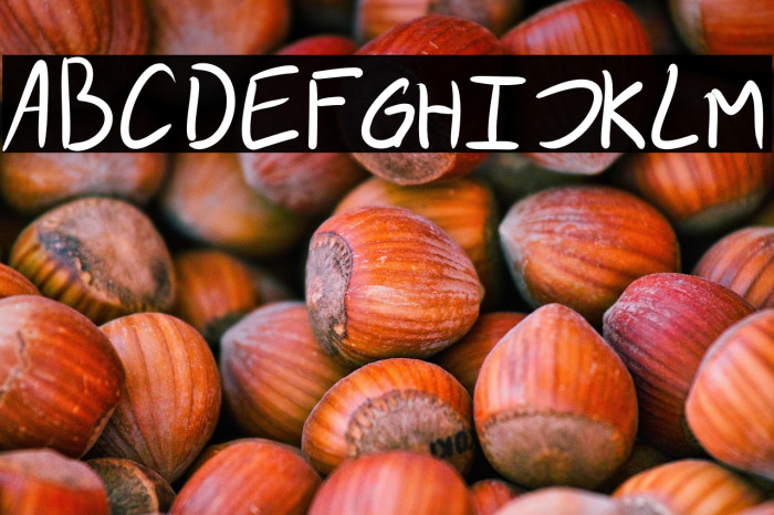 rev's messy handwriting Example 2