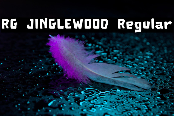 RG JINGLEWOOD Regular Example 3