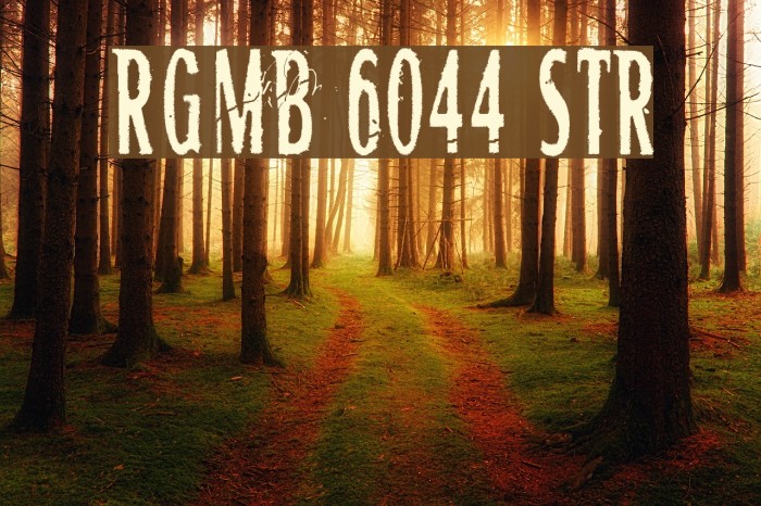 RGMB 6044 Str Font examples