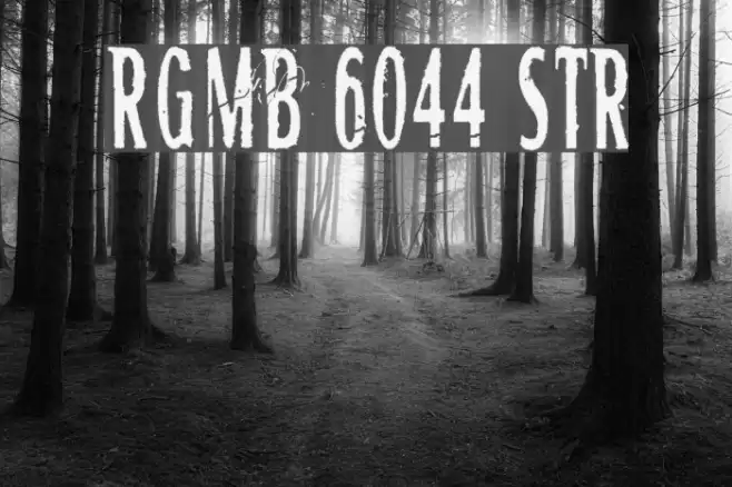 RGMB 6044 Str Font examples