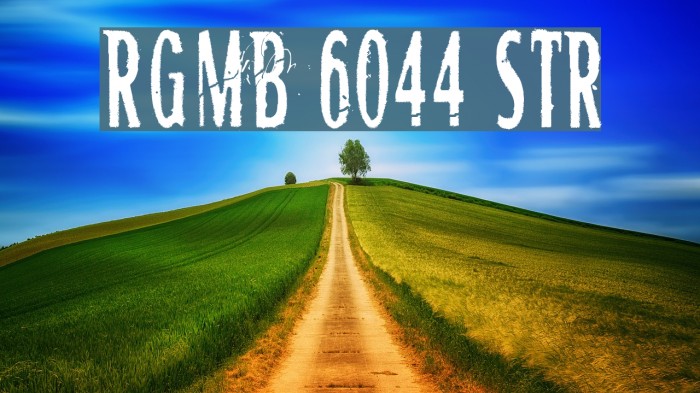 RGMB 6044 Str Font examples