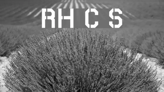 RH Carrier Stencil Font examples