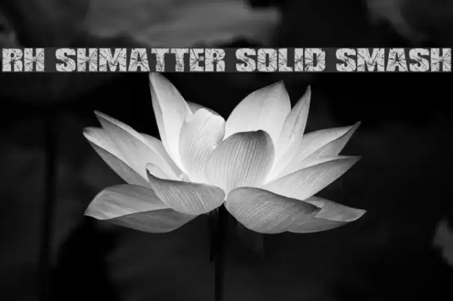 RH SHMATTER SOLID SMASH Font examples